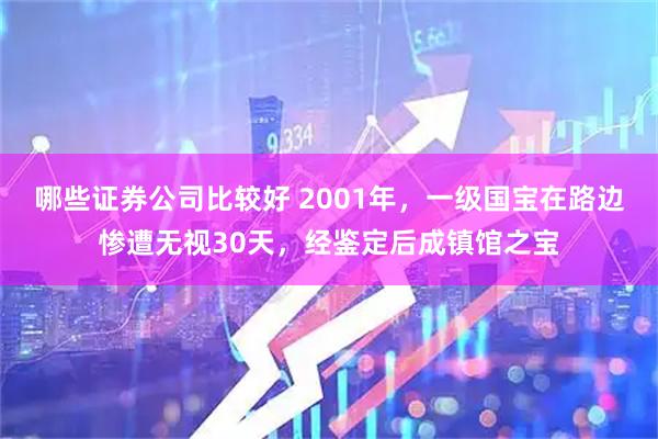哪些证券公司比较好 2001年，一级国宝在路边惨遭无视30天，经鉴定后成镇馆之宝