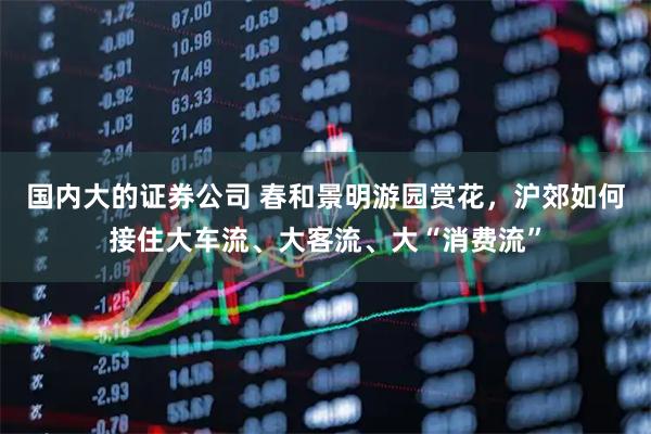 国内大的证券公司 春和景明游园赏花，沪郊如何接住大车流、大客流、大“消费流”